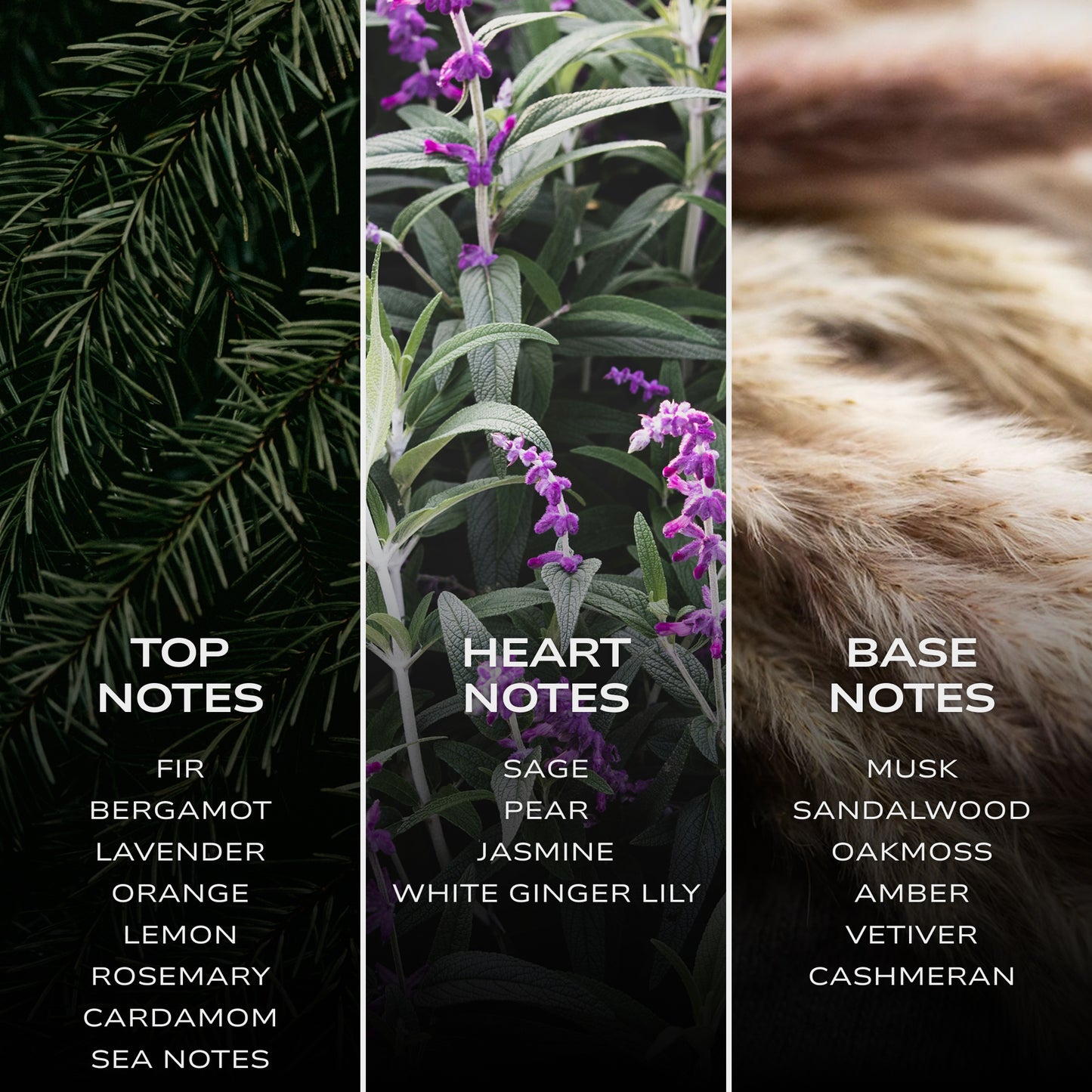 INTELLIGENT Cobalt