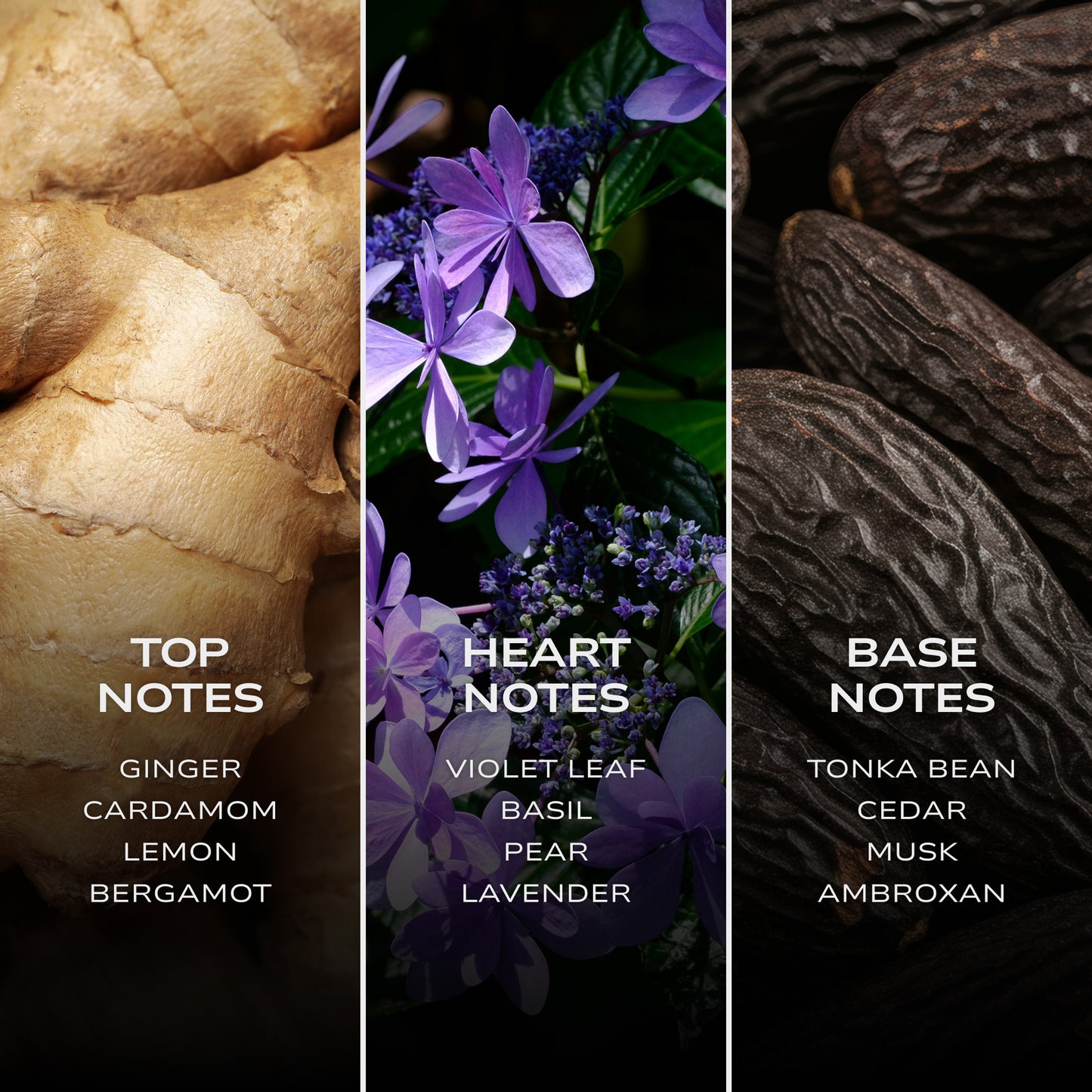 INTELLIGENT Hydrogen