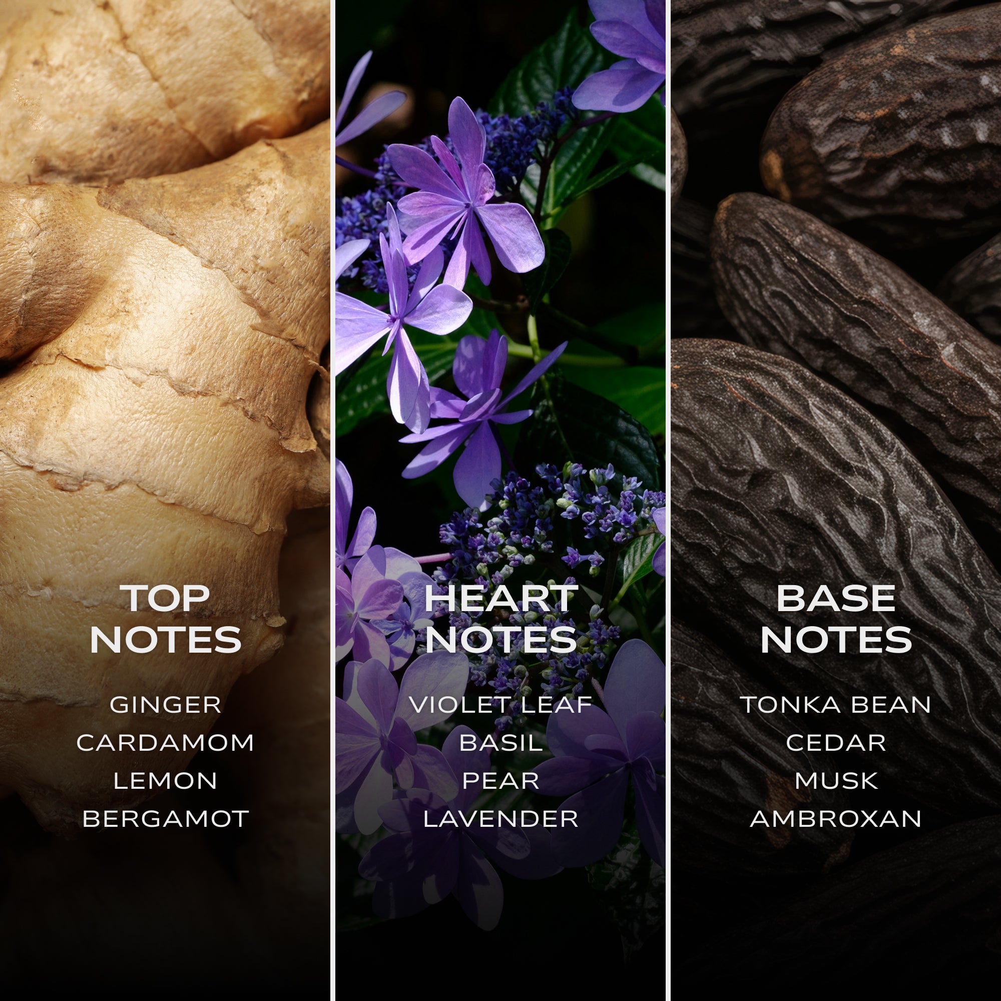 INTELLIGENT Hydrogen