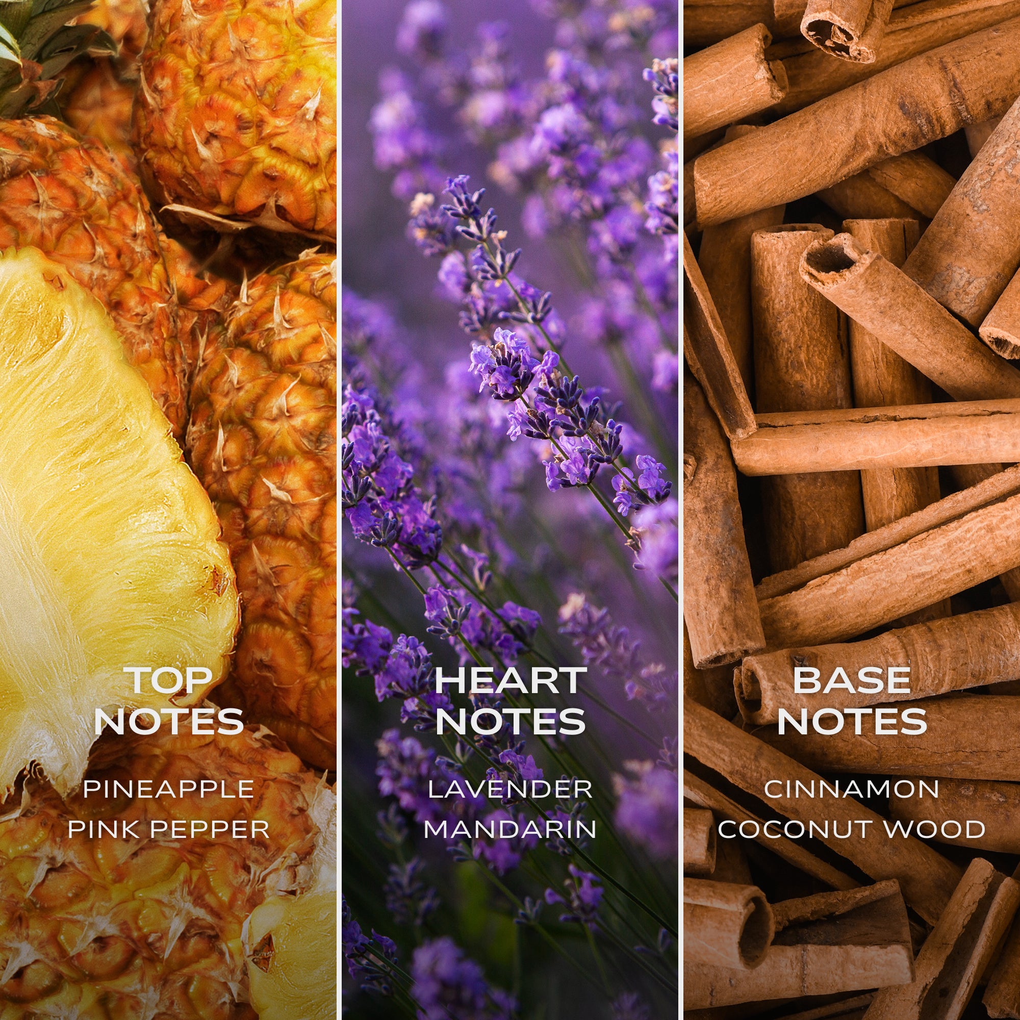 INTELLIGENT Platinum