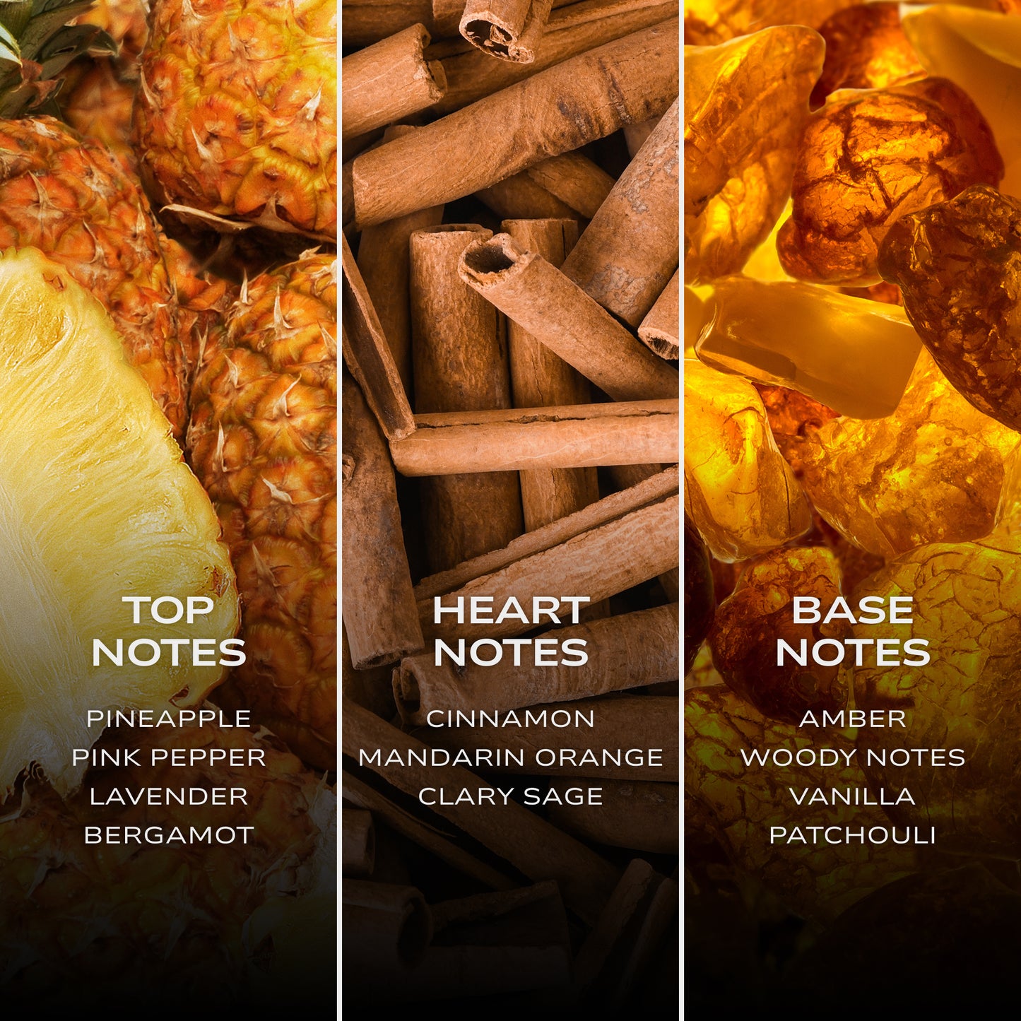 INTELLIGENT Platinum