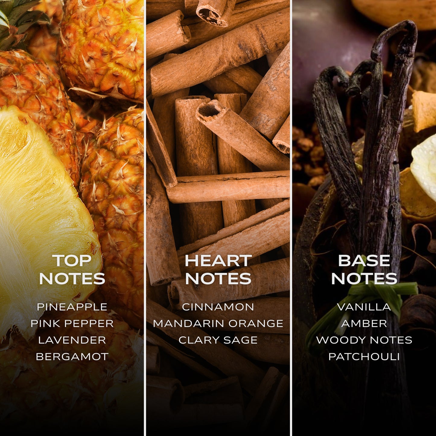 INTELLIGENT Platinum