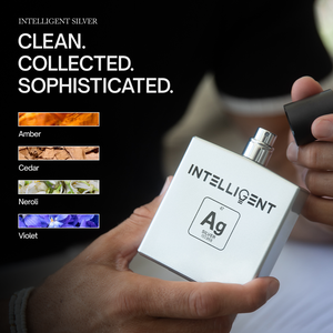 INTELLIGENT Silver